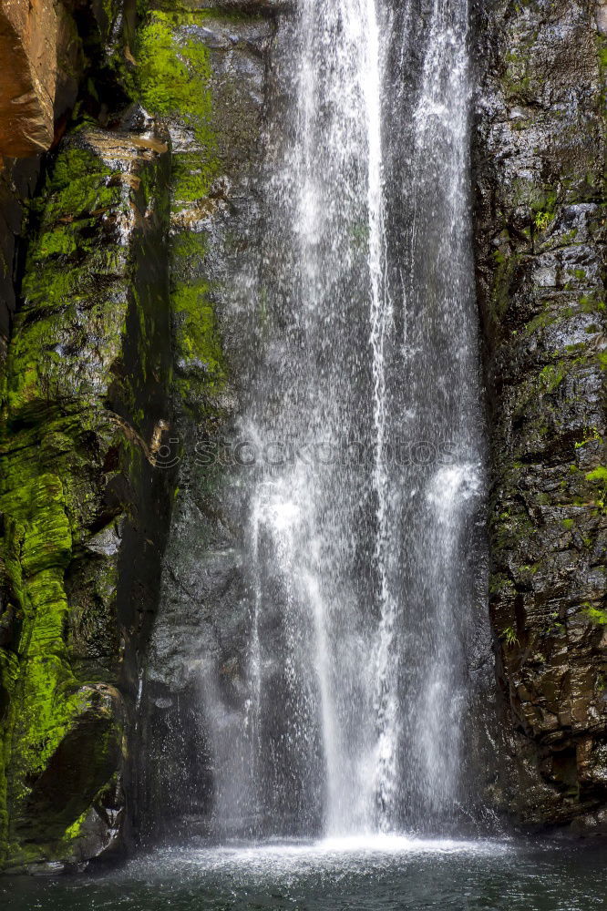 Image, Stock Photo chilling Nature Water