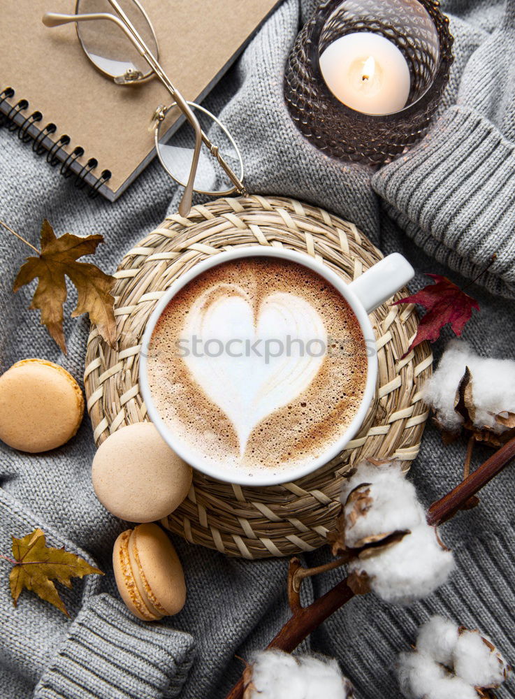 Similar – Image, Stock Photo cozy winter or autumn morning at home