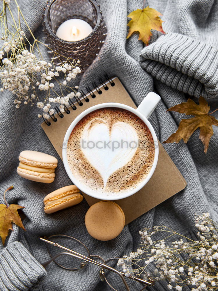 Similar – Image, Stock Photo cozy winter or autumn morning at home