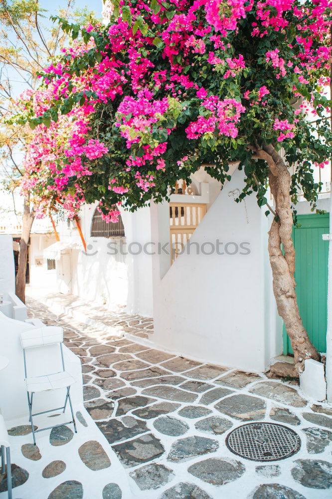 Similar – Image, Stock Photo typical cycladic