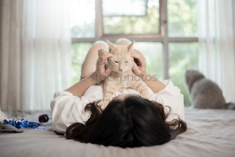 Similar – happy little child girl lying on her bed in the morning