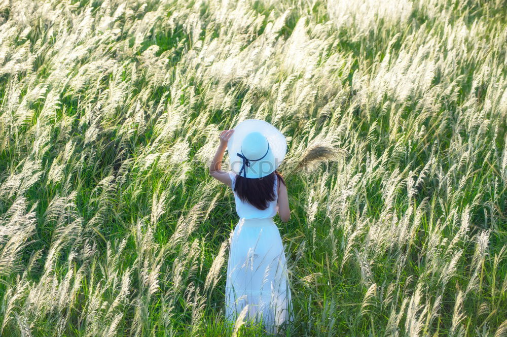 Similar – Image, Stock Photo in the cornfield