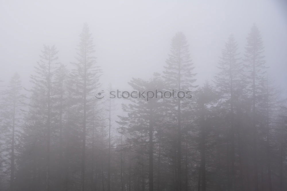 Similar – Image, Stock Photo turbidity Trip Autumn