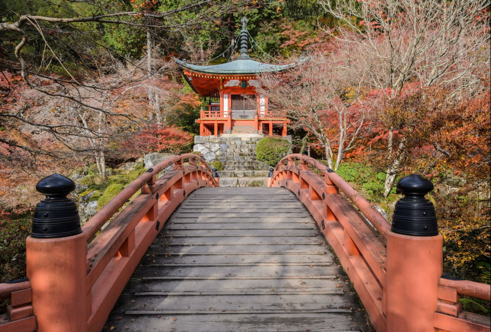 Similar – Image, Stock Photo Japanese arches and path