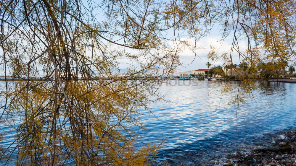 Weißensee Umwelt Natur