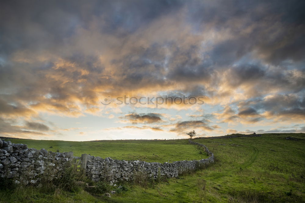 Similar – Image, Stock Photo melancholic