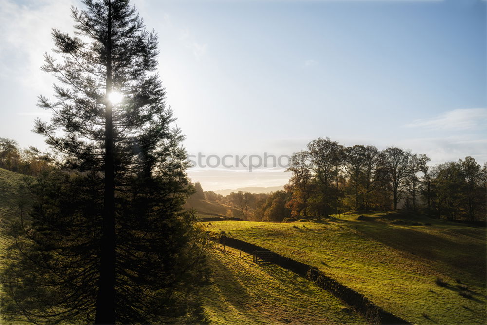 Similar – Image, Stock Photo A hermitage in the distance among autumnal trees and bushes