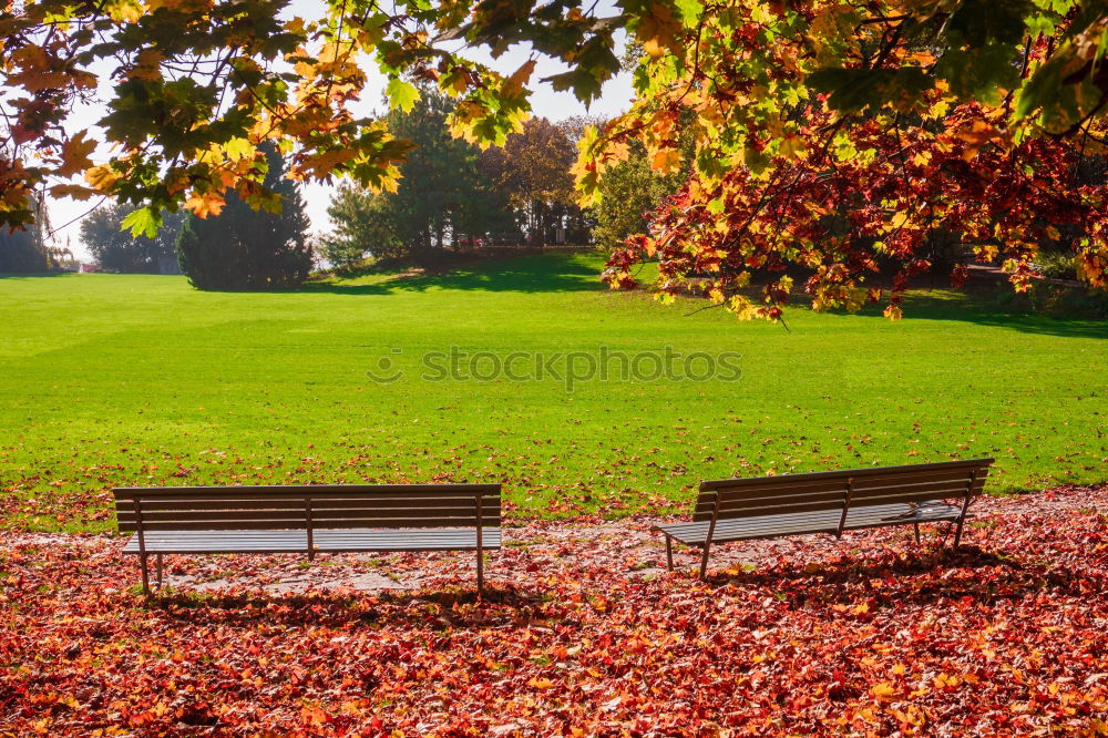 Similar – Parkbank Holzbank Frühling