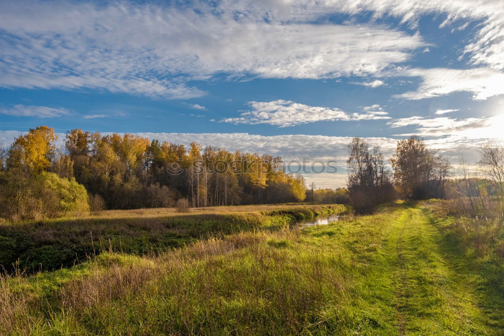 Similar – Image, Stock Photo Punta Arenas Nature