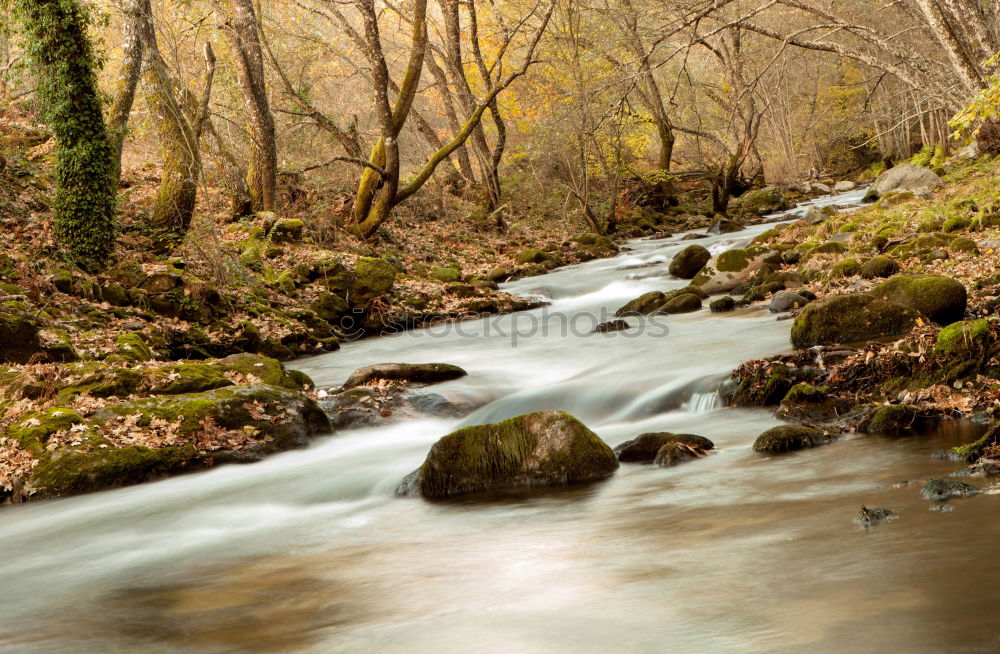 Similar – Foto Bild Flussabwärts Umwelt Natur