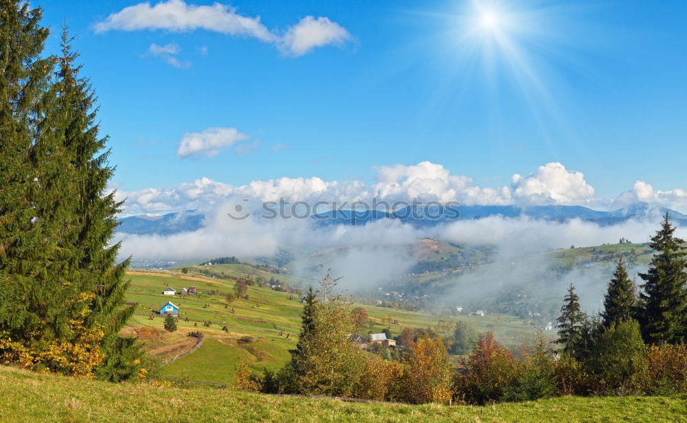 Similar – Image, Stock Photo View of the autumnal forests of the Vosges Mountains