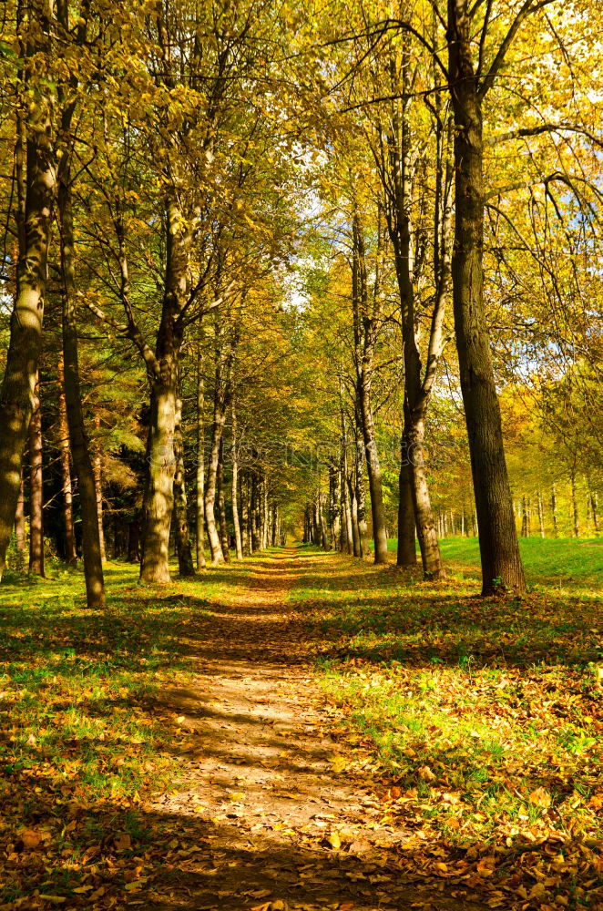 Similar – WIR ESSEN ZEITIG! Feld