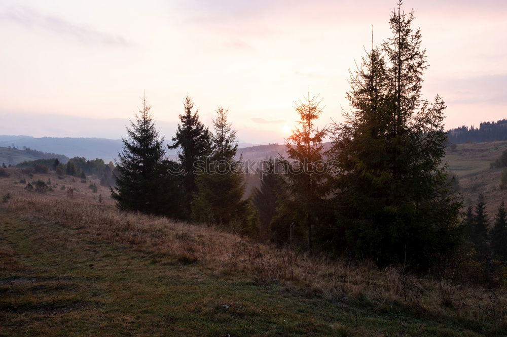 Similar – Foto Bild die Holzfällerhütte Umwelt