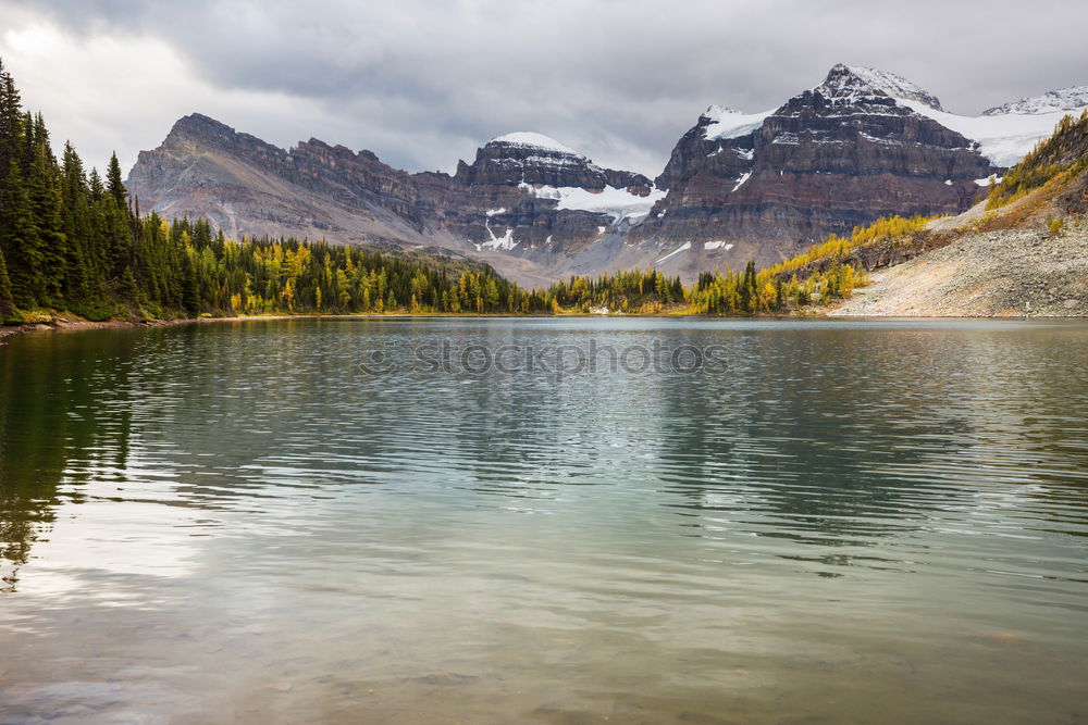 Similar – Image, Stock Photo Crowfoot Mountain sorum