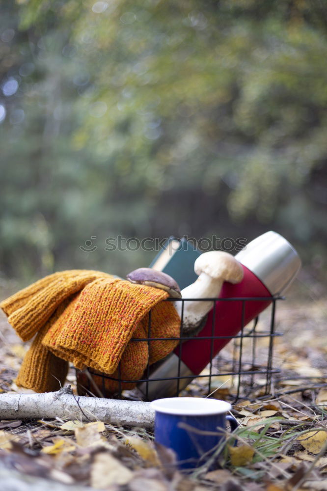 Similar – Image, Stock Photo They dug up the folding chair…