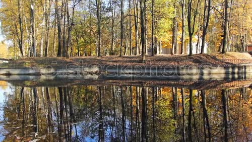 Similar – Unser Wald soll bunter werden