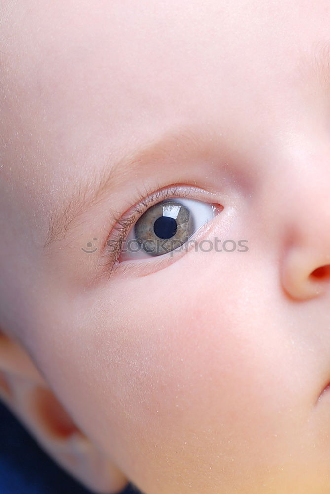Similar – Foto Bild Kleiner Käfer Mensch Baby