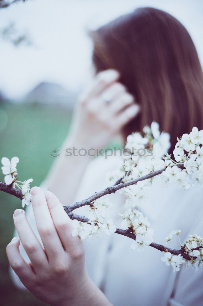 Similar – Image, Stock Photo Roses for MJ Watson Woman