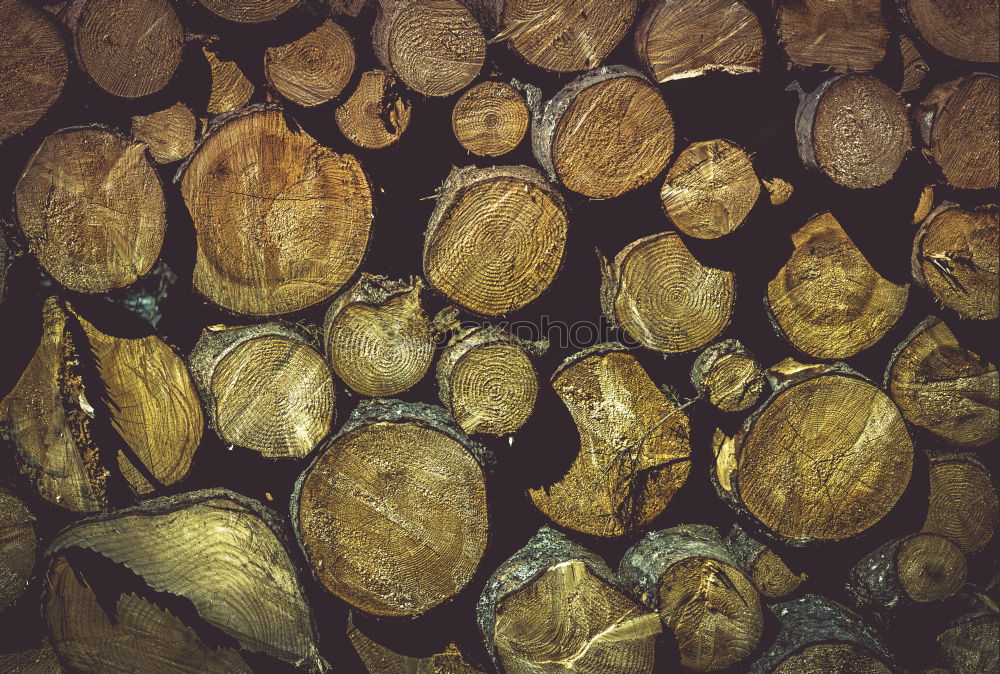 Similar – Wood in front of the hut