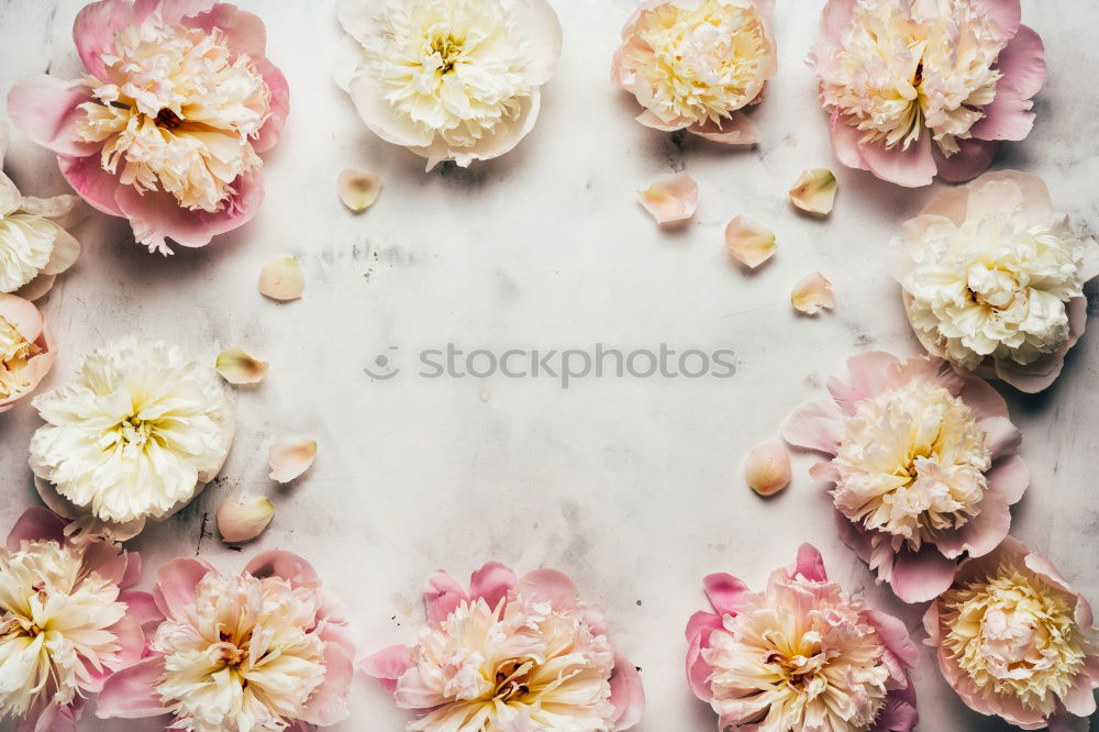 Similar – Water bowl with spring flowers