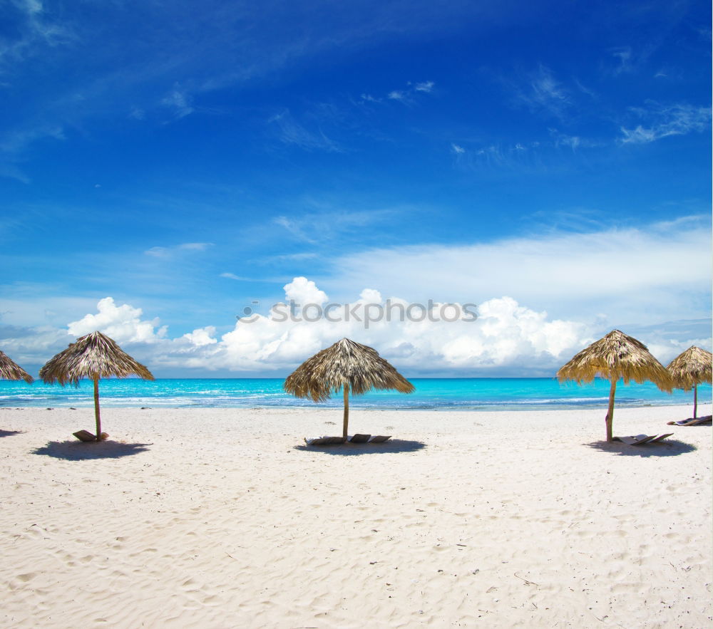 Similar – Image, Stock Photo DreamBeach Sunshade Beige