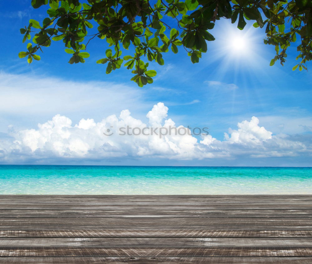 Maldives island luxury resort wooden pier