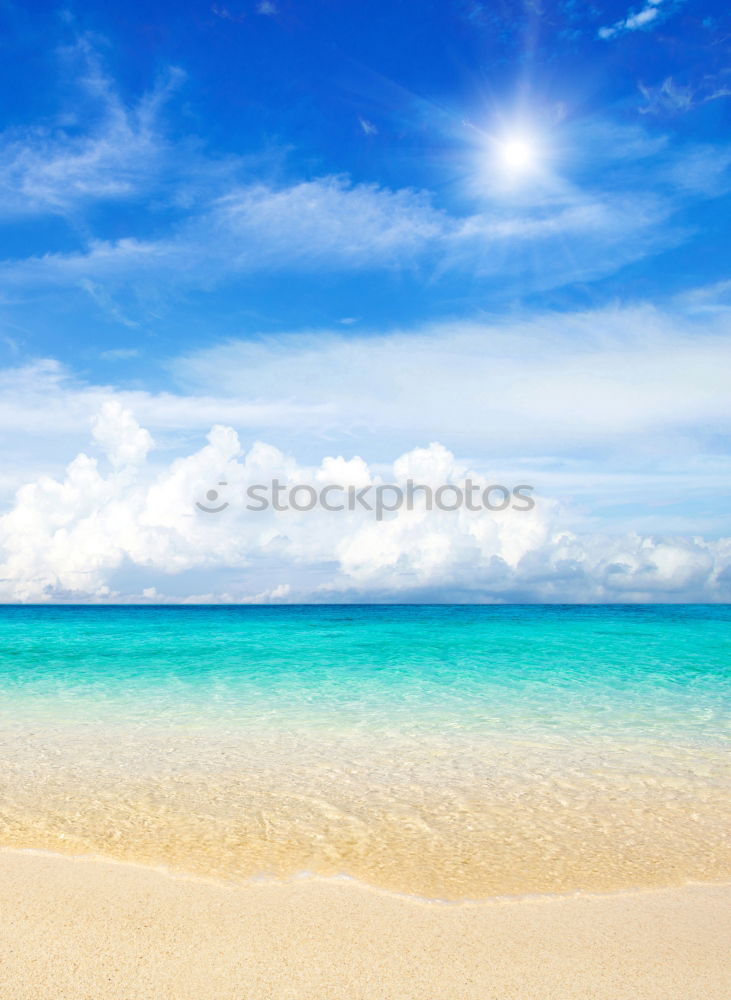 Similar – Image, Stock Photo summertime Playing