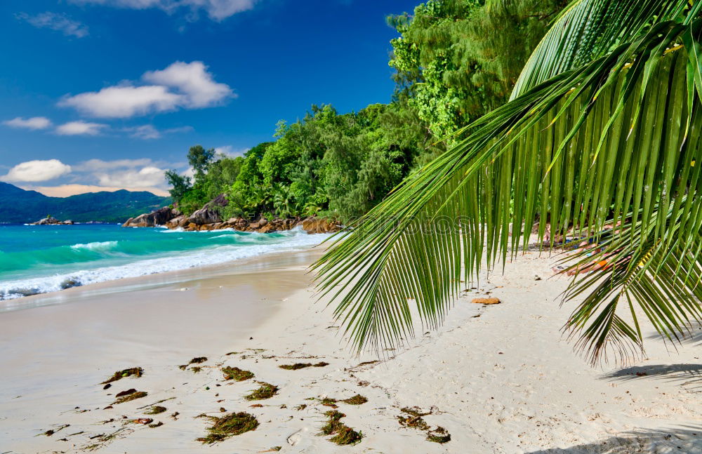 Similar – Image, Stock Photo more seas for all Gorgeous