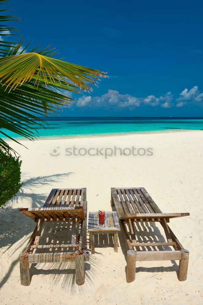 Similar – Foto Bild Stranddomrep Palme Insel