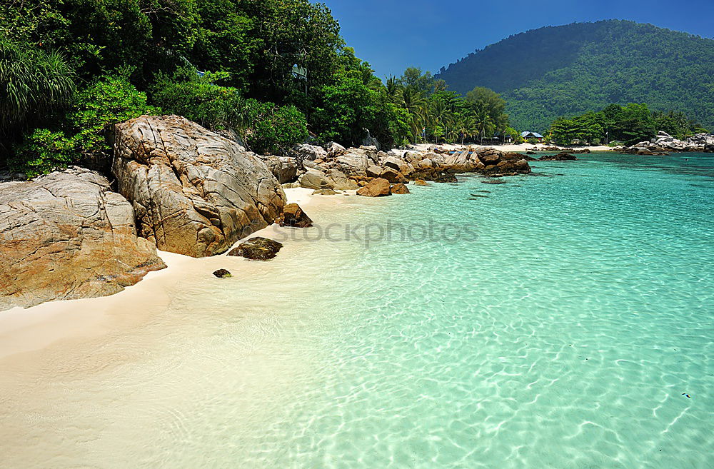 Similar – Image, Stock Photo swim in the sea Coral reef