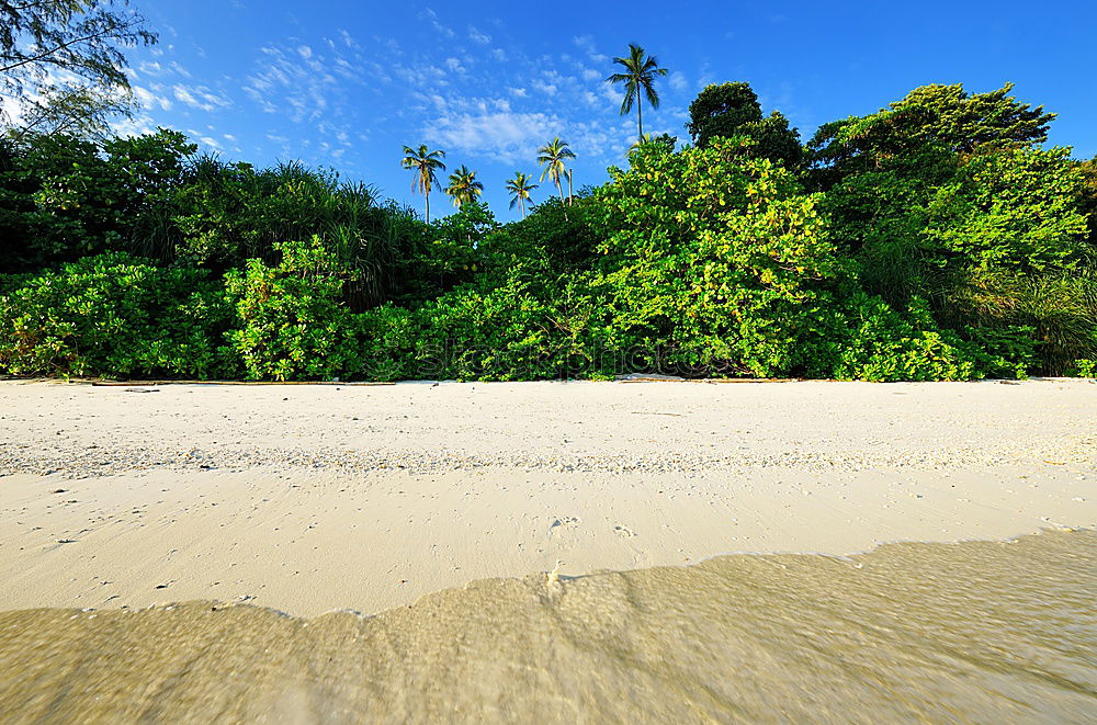 Similar – Image, Stock Photo Waterworld Nature Ocean