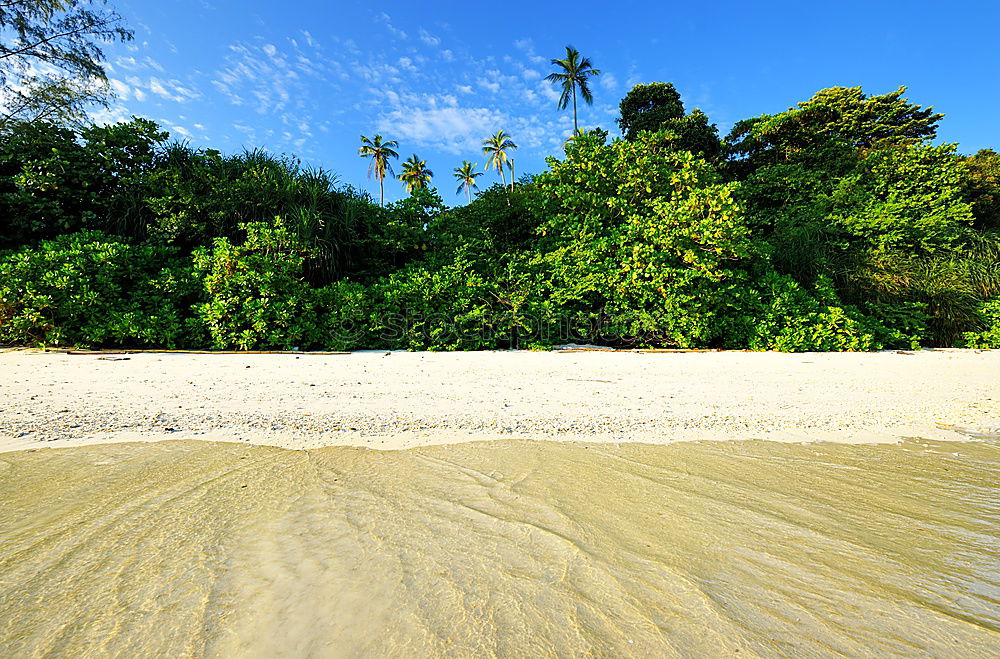 Similar – Image, Stock Photo Waterworld Nature Ocean