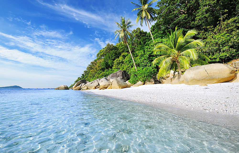 Similar – Image, Stock Photo more seas for all Gorgeous