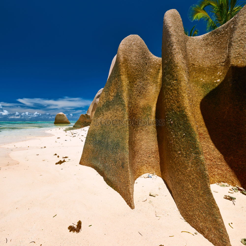 Similar – Image, Stock Photo ruffle about Beach