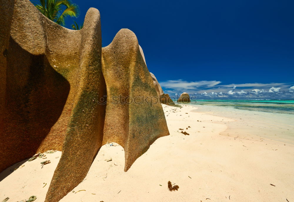 Similar – Image, Stock Photo ruffle about Beach