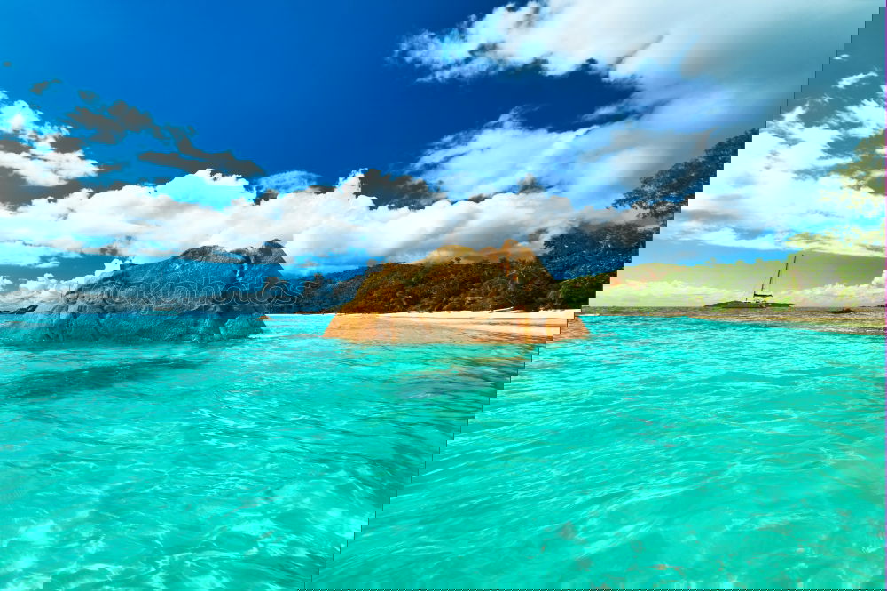 Similar – Image, Stock Photo more seas for all Gorgeous