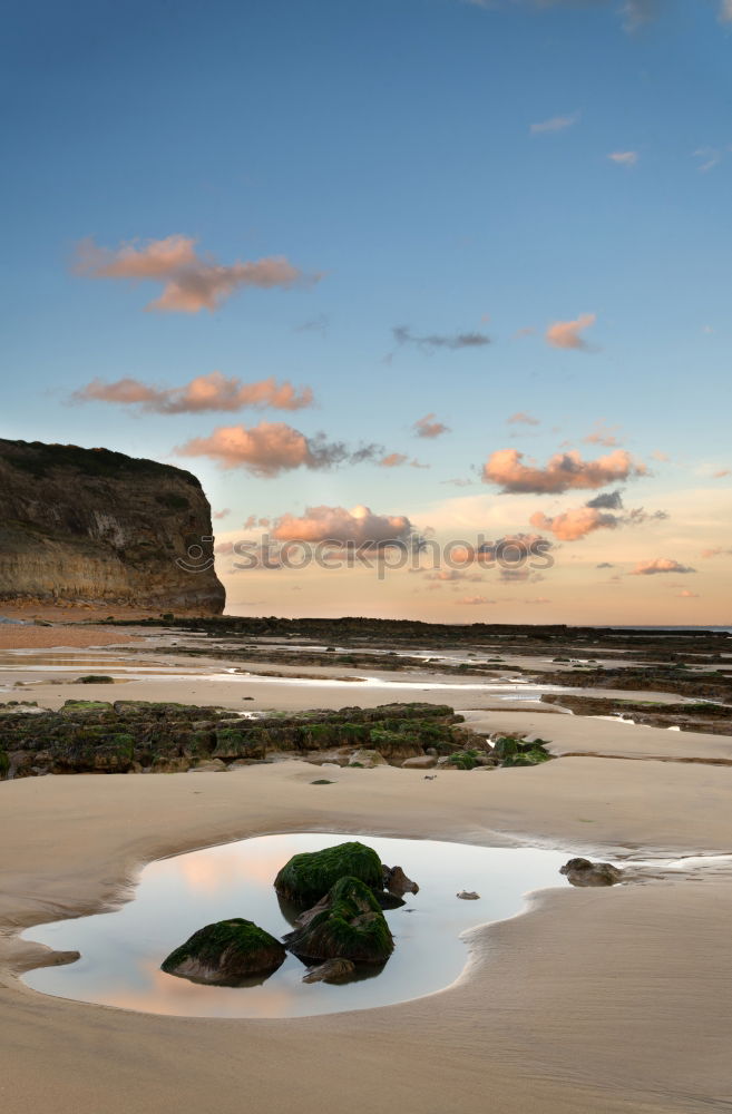 Similar – beach Nature Landscape