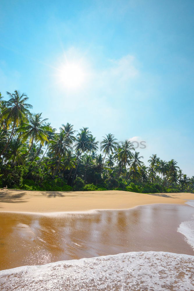 Image, Stock Photo Sri Lanka, Rathgama