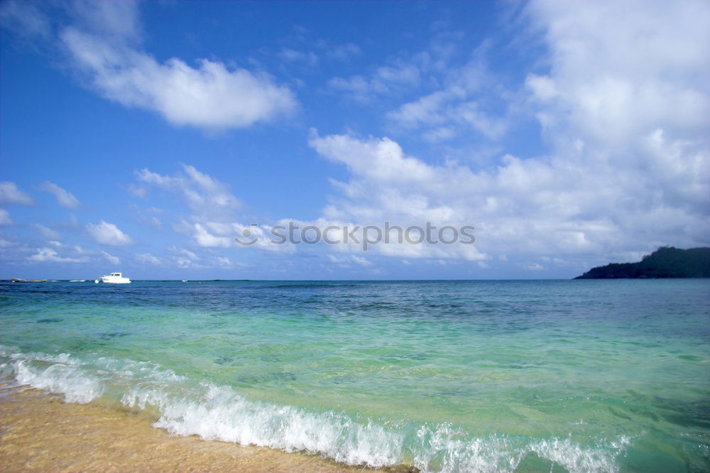 Similar – Image, Stock Photo Oahu / Hawaii