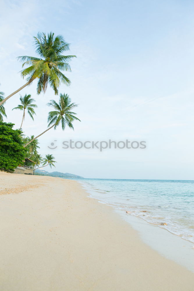 Similar – Image, Stock Photo Sri Lanka, Rathgama