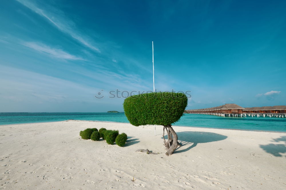 Similar – View of the Gulf of the coast of Abu Dhabi