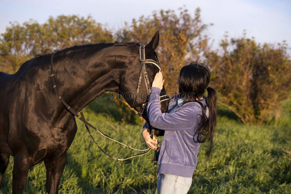 Similar – Young dark-haired curly woman with horse in stable