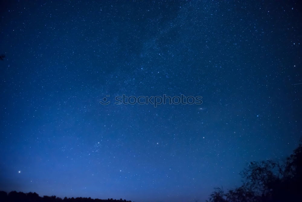 Similar – night sky Nature Plant Sky