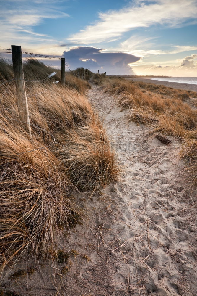 Similar – Image, Stock Photo late summer Environment