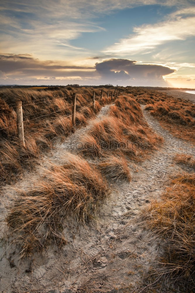 Similar – Image, Stock Photo Field path in Peak District, England