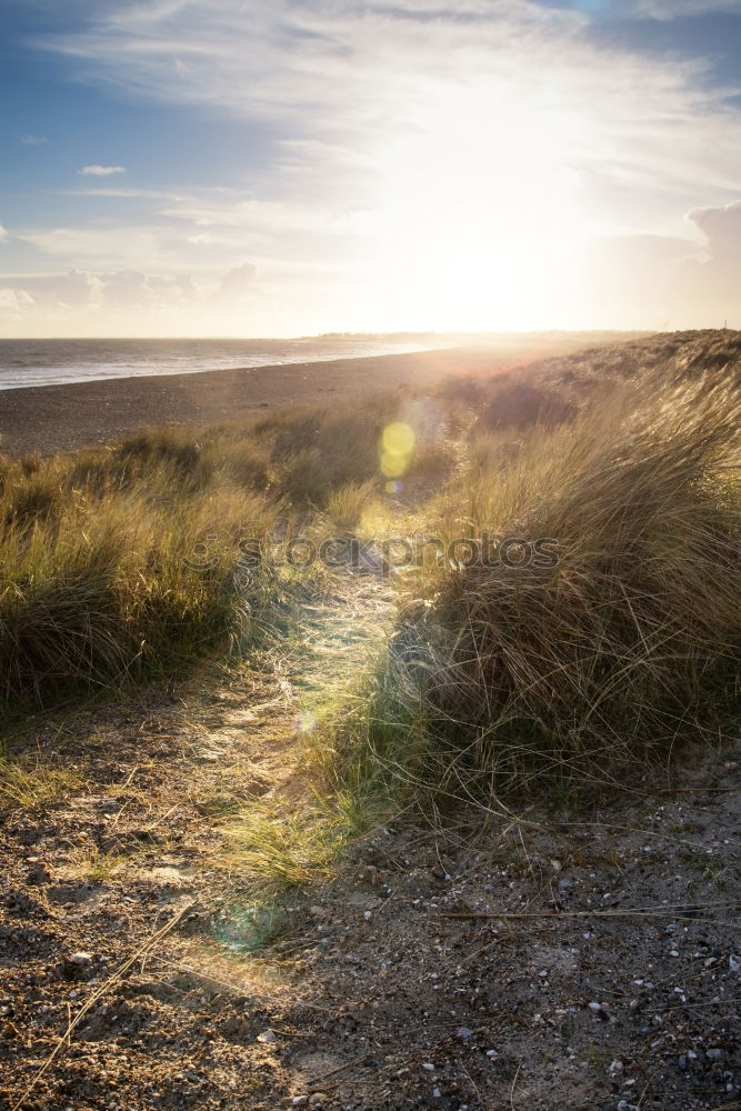 Similar – Image, Stock Photo Landscape in the dunes on the island of Amrum