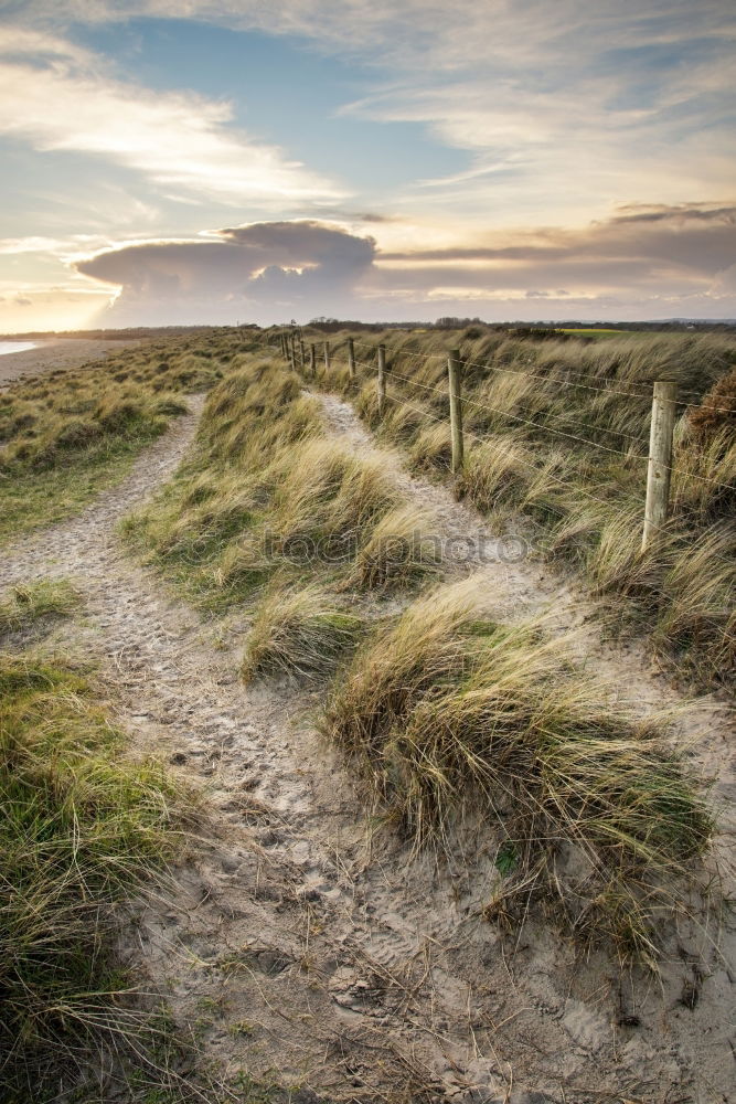 Similar – Image, Stock Photo Field path in Peak District, England
