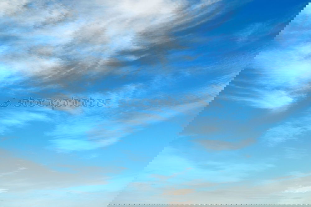 Similar – Foto Bild Drachen sollen fliegen