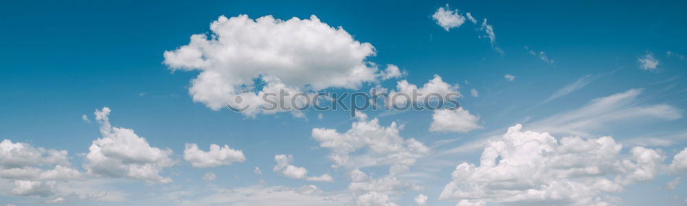 Similar – Image, Stock Photo Fluffy Environment Nature