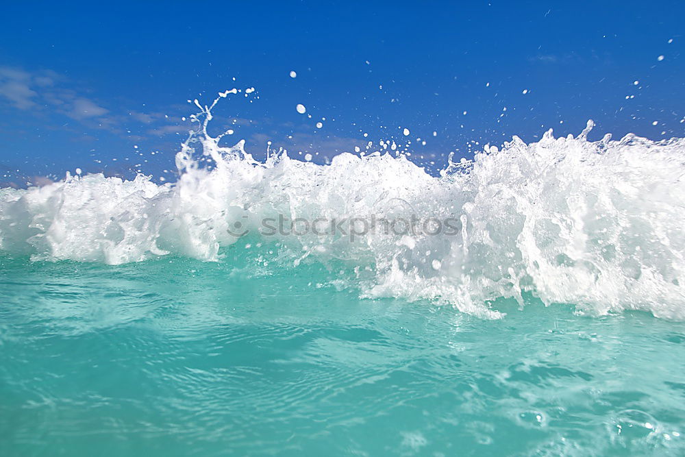 Similar – Image, Stock Photo WWW…Wow…Wow…Wow…Wow…Wow…Wow…wave